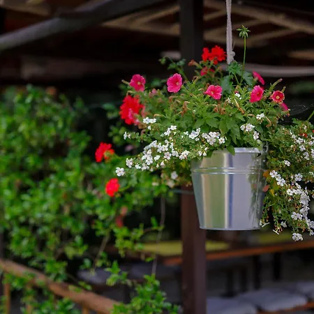 Holiday Jasna Holiday home Permani